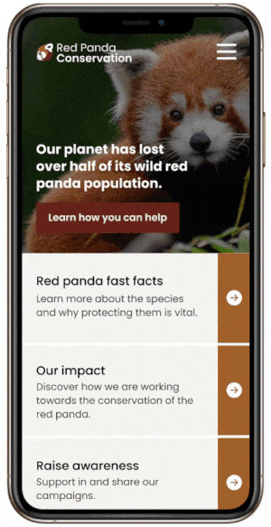 GIF of Panda Conservation Website User Flow